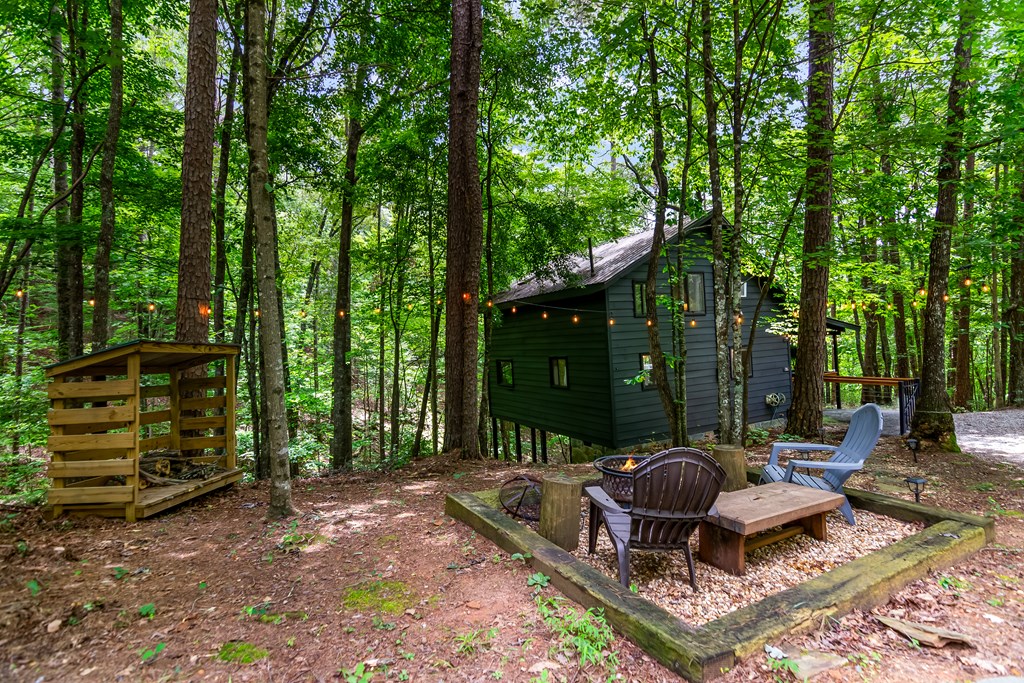 25 Nickwasi Way Blue Ridge, GA 30513 - Photo 33 of 35