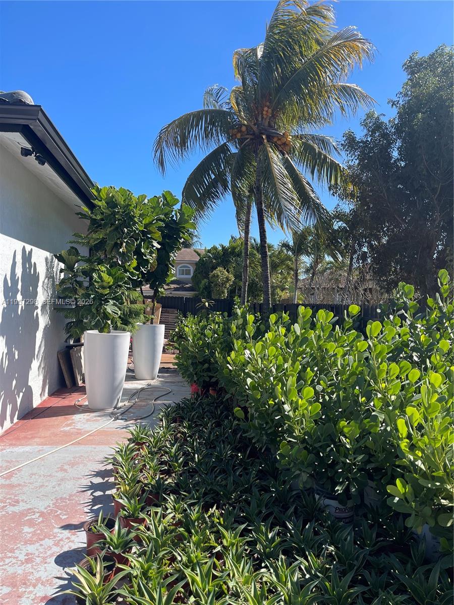 14200 Southwest 160th Court Miami, FL 33196 - Photo 36 of 36 a view of a potted plants in front of house