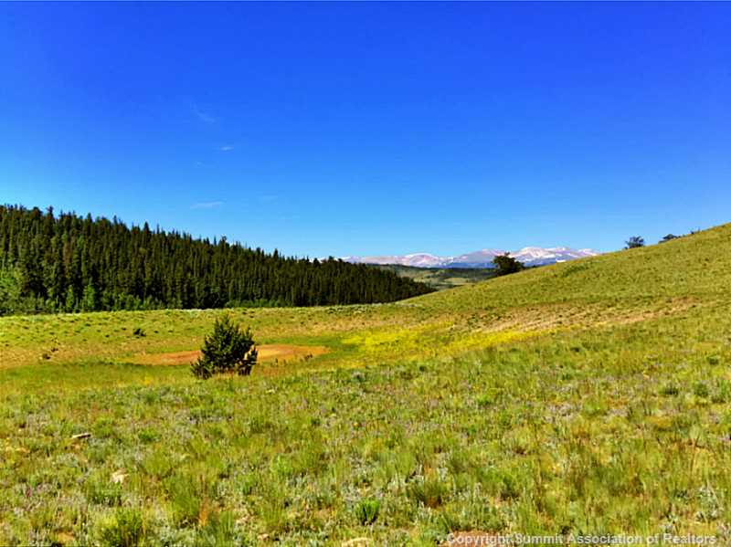 2410 Reinecker Ridge Road Fairplay, CO 80440 - Photo 5 of 22 Land/Lot.