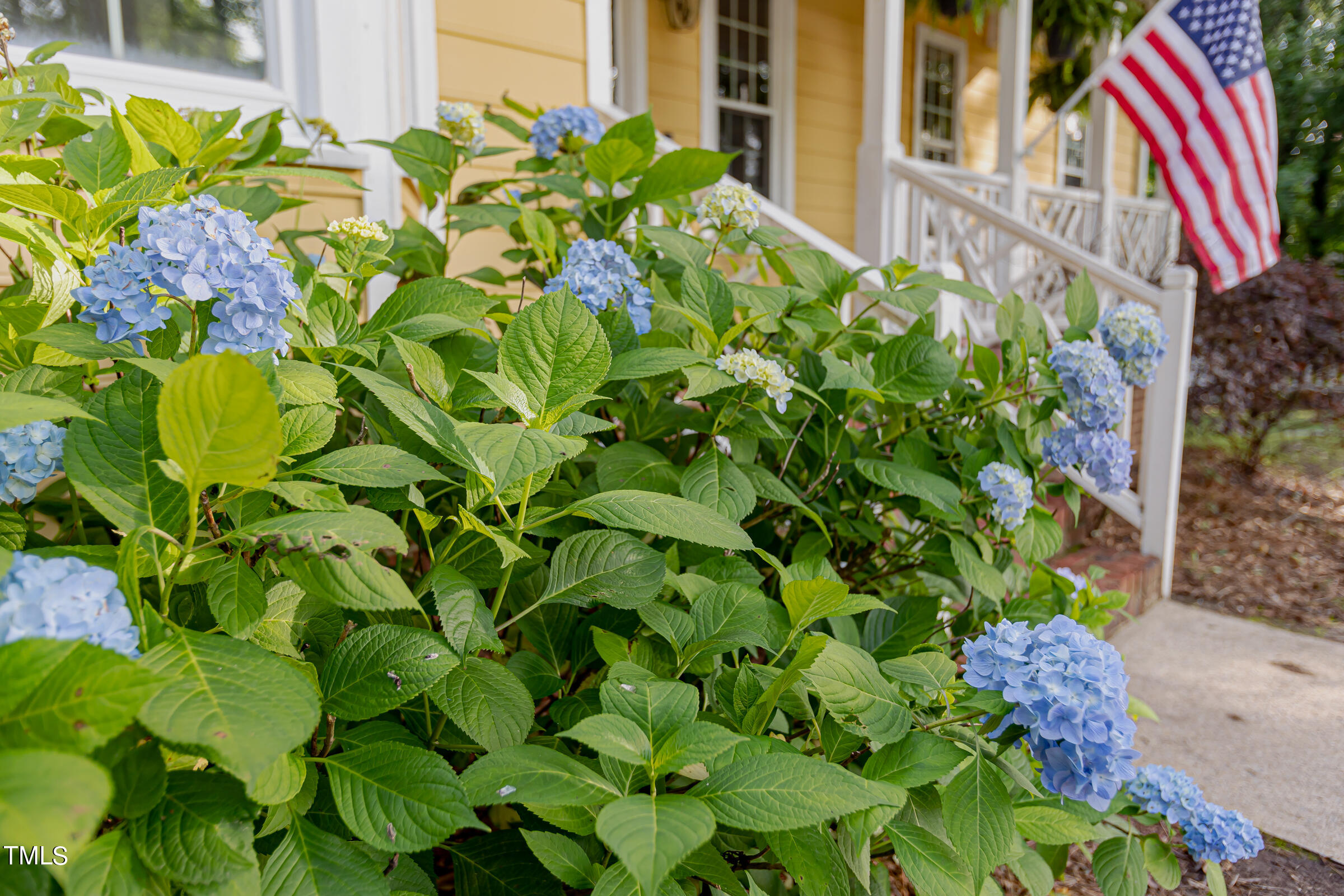 4721 Mial Plantation Road Raleigh, NC 27610 - Photo 5 of 61 Flowers - 4721MialPlantationRd-4