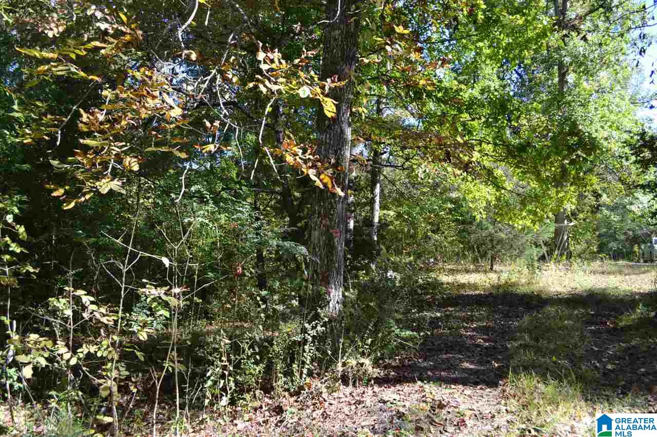 17871 Highway 75, Unit 5 7 ACRES Remlap, AL 35133 - Photo 20 of 23
