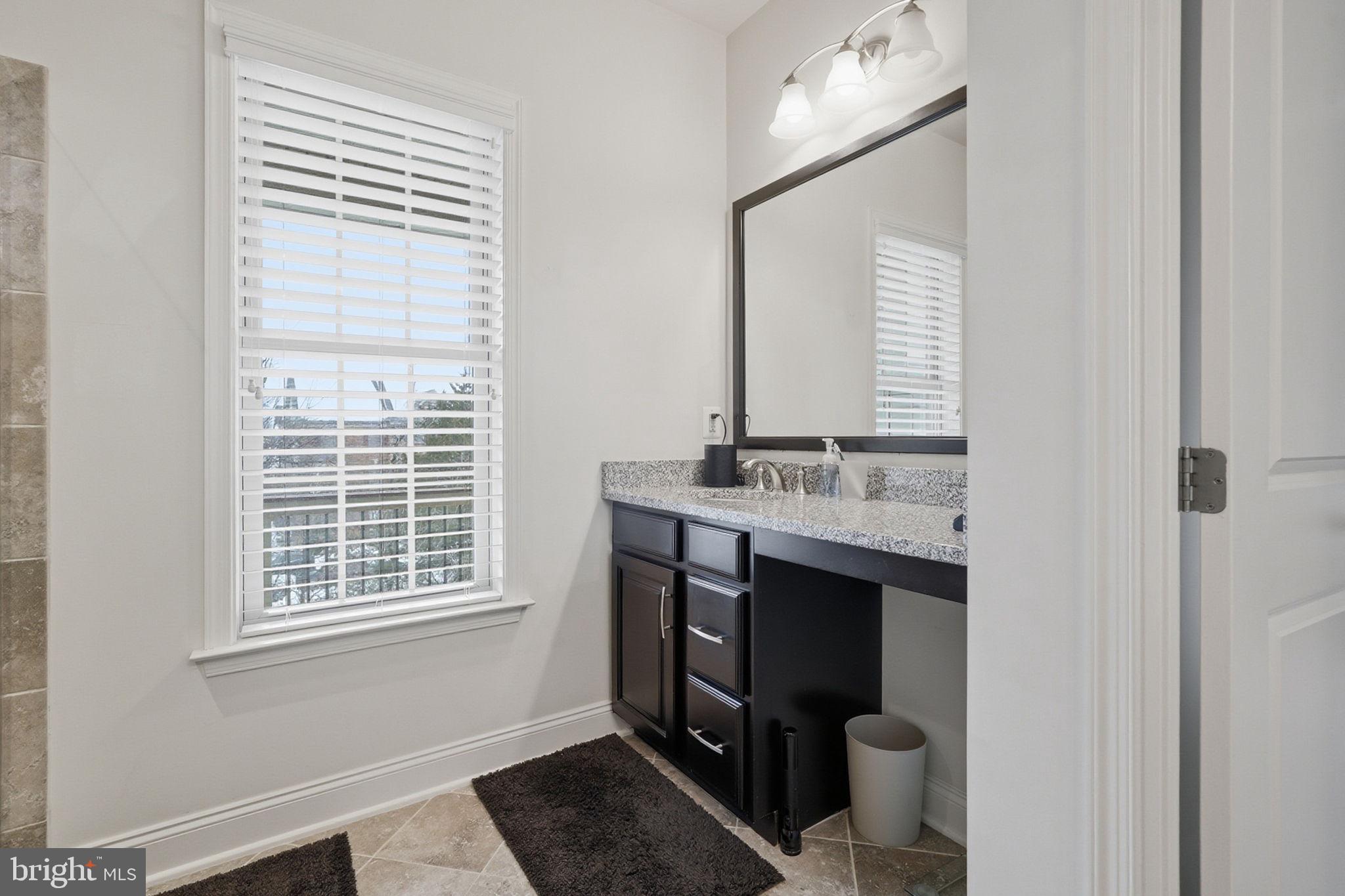 22597 Windsor Locks Square Ashburn, VA 20148 - Photo 32 of 44 a bathroom with a sink and a mirror