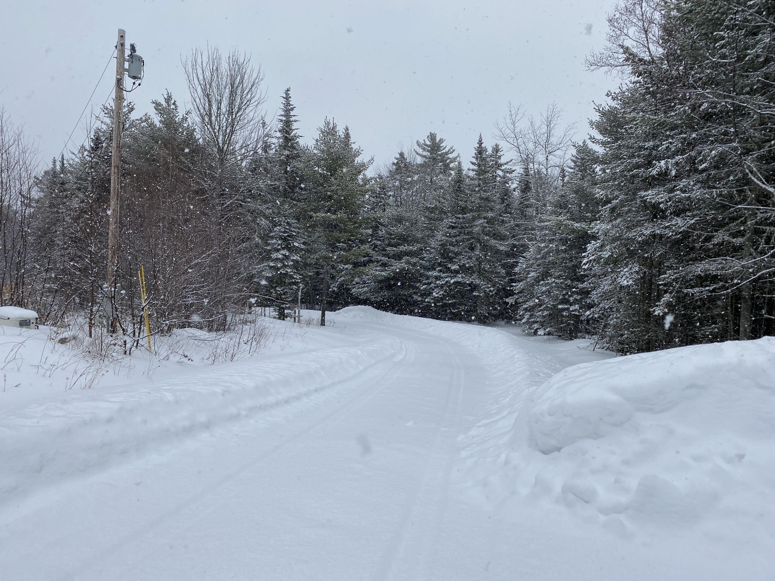 645 Transalpine Road Lincoln, ME 04457 - Photo 41 of 42 IMG-1578