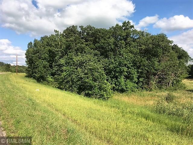 160 County Road 160 Cold Spring, MN 56320 - Photo 4 of 11