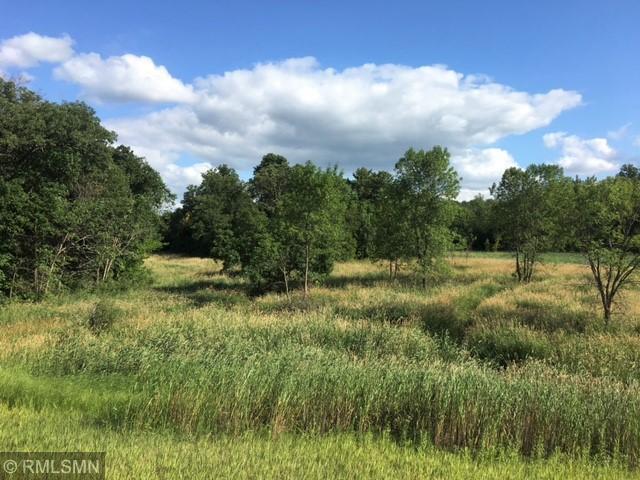 160 County Road 160 Cold Spring, MN 56320 - Photo 5 of 11