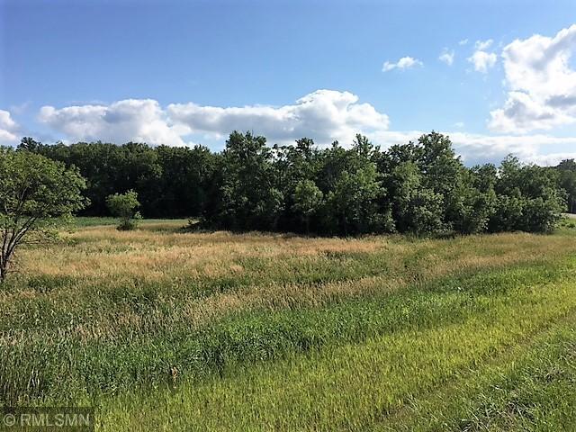 160 County Road 160 Cold Spring, MN 56320 - Photo 6 of 11