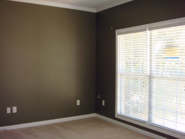 22 Springleaf Court Simpsonville, SC 29681 - Photo 10 of 13 Gallery Image 10