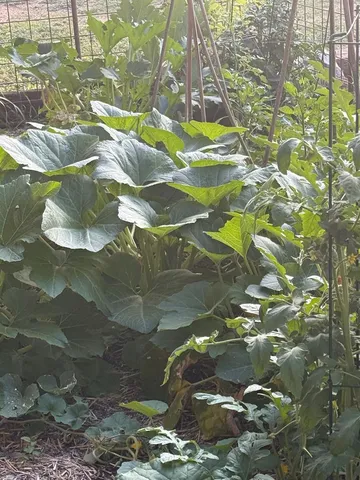 $264,900 | 117 Reading Center Point, Center Point, TX 78010