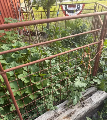 $264,900 | 117 Reading Center Point, Center Point, TX 78010