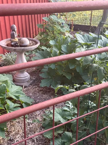 $264,900 | 117 Reading Center Point, Center Point, TX 78010