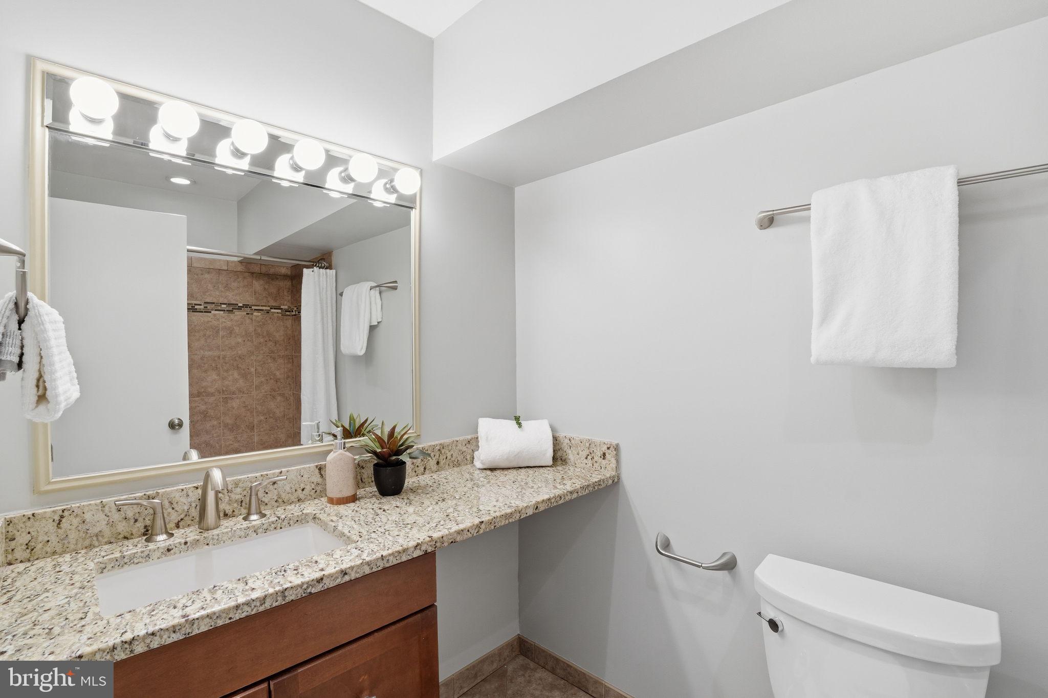 912 Burnt Crest Lane Silver Spring, MD 20903 - Photo 14 of 24 Hall Bathroom