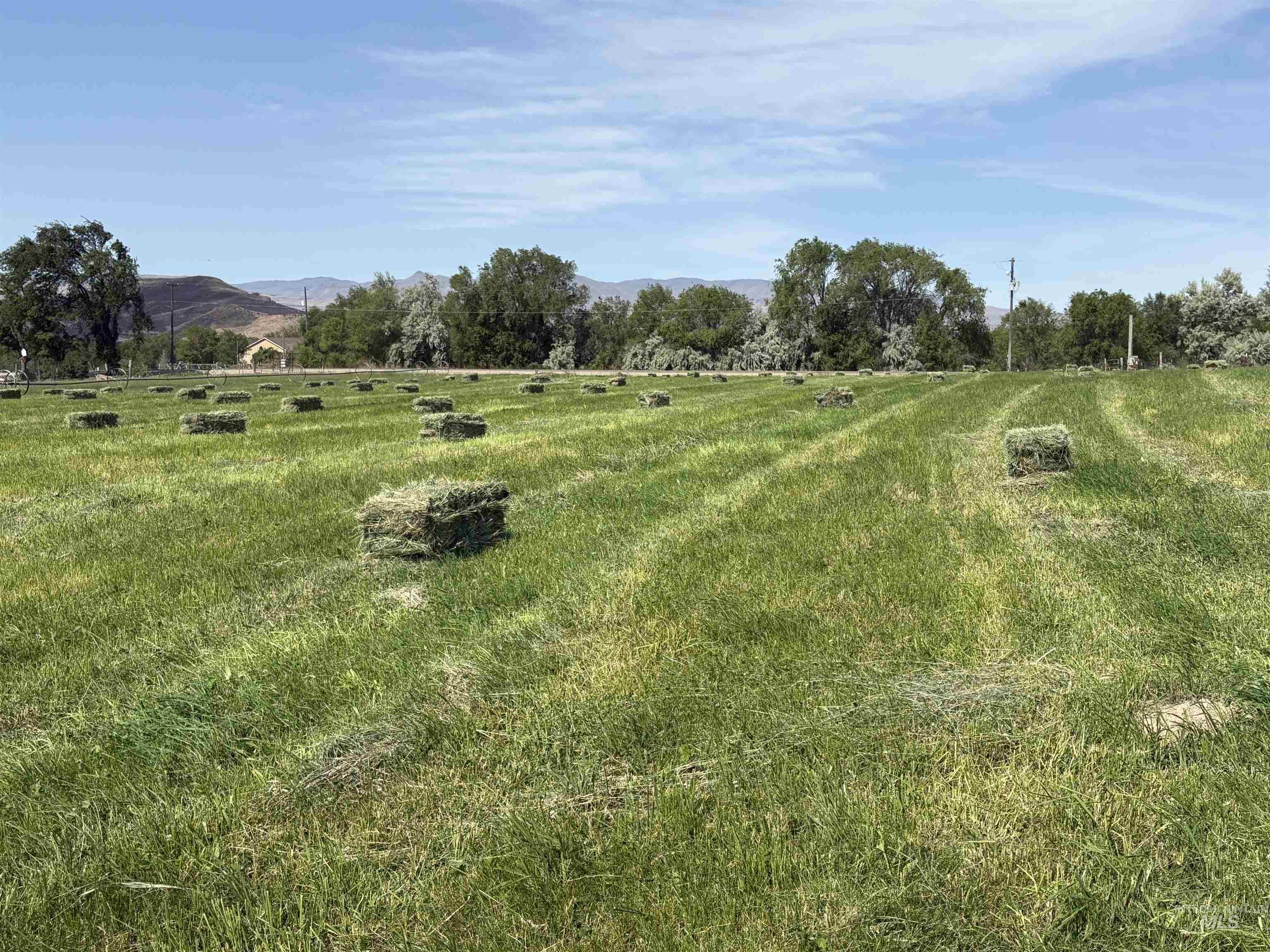 Tbd Southside Boulevard South Melba, ID 83641 - Photo 24 of 26 View with a rural view and a mountain view