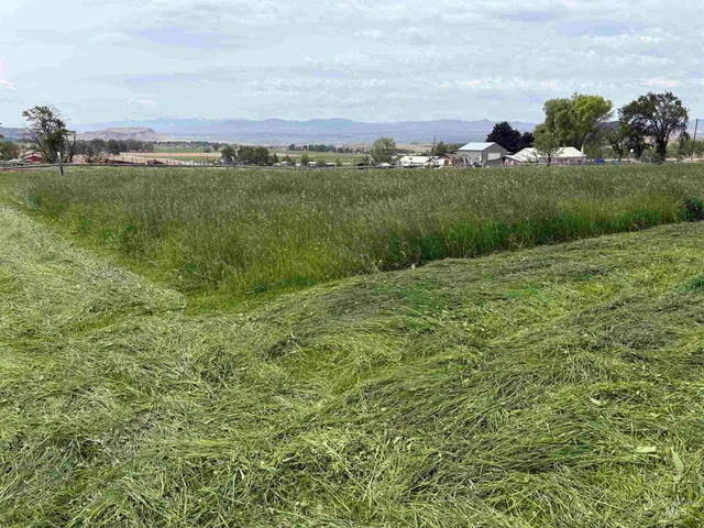 $1,025,000 | Tbd Southside Boulevard South, Melba, ID 83641