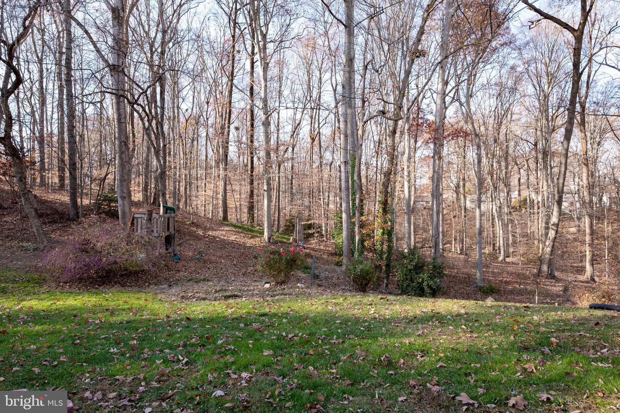 6310 Glenbard Road Burke, VA 22015 - Photo 34 of 42 backyard