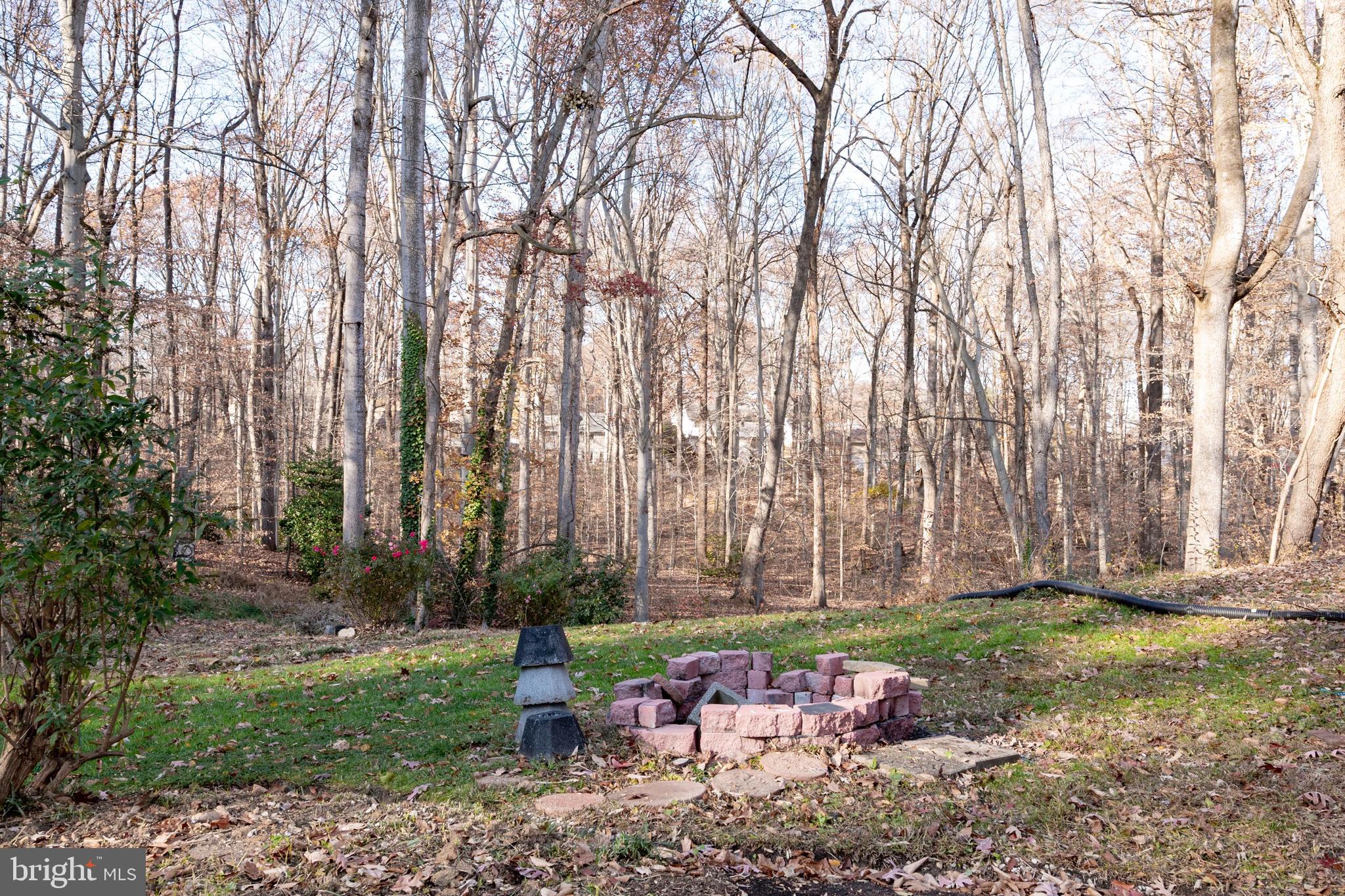 6310 Glenbard Road Burke, VA 22015 - Photo 35 of 42 Backyard