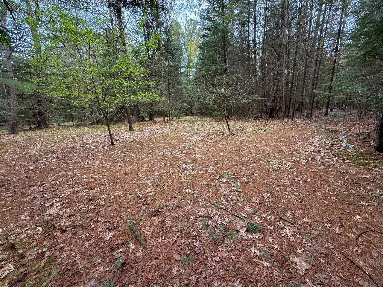 3960 West Clarence Road Harrison, MI 48625 - Photo 57 of 57