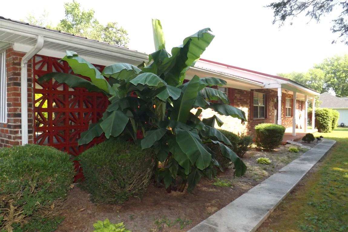 1632 New Lake Road, Unit 6 Spring City, TN 37381 - Photo 40 of 45 1632 New Lake Road 047 (Medium)