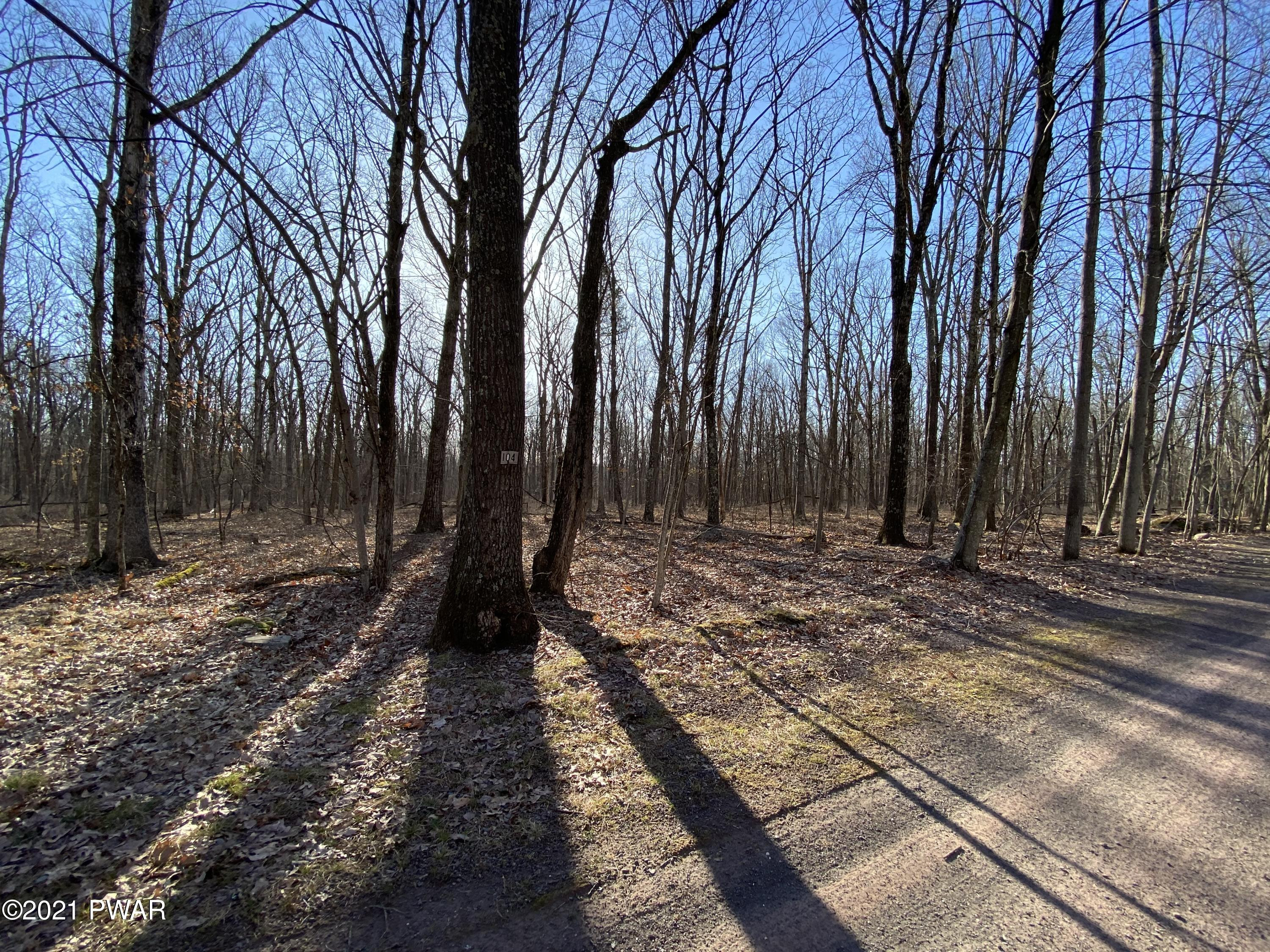 Lot 104 Mountaintop Road Lackawaxen, PA 18435 - Photo 4 of 7