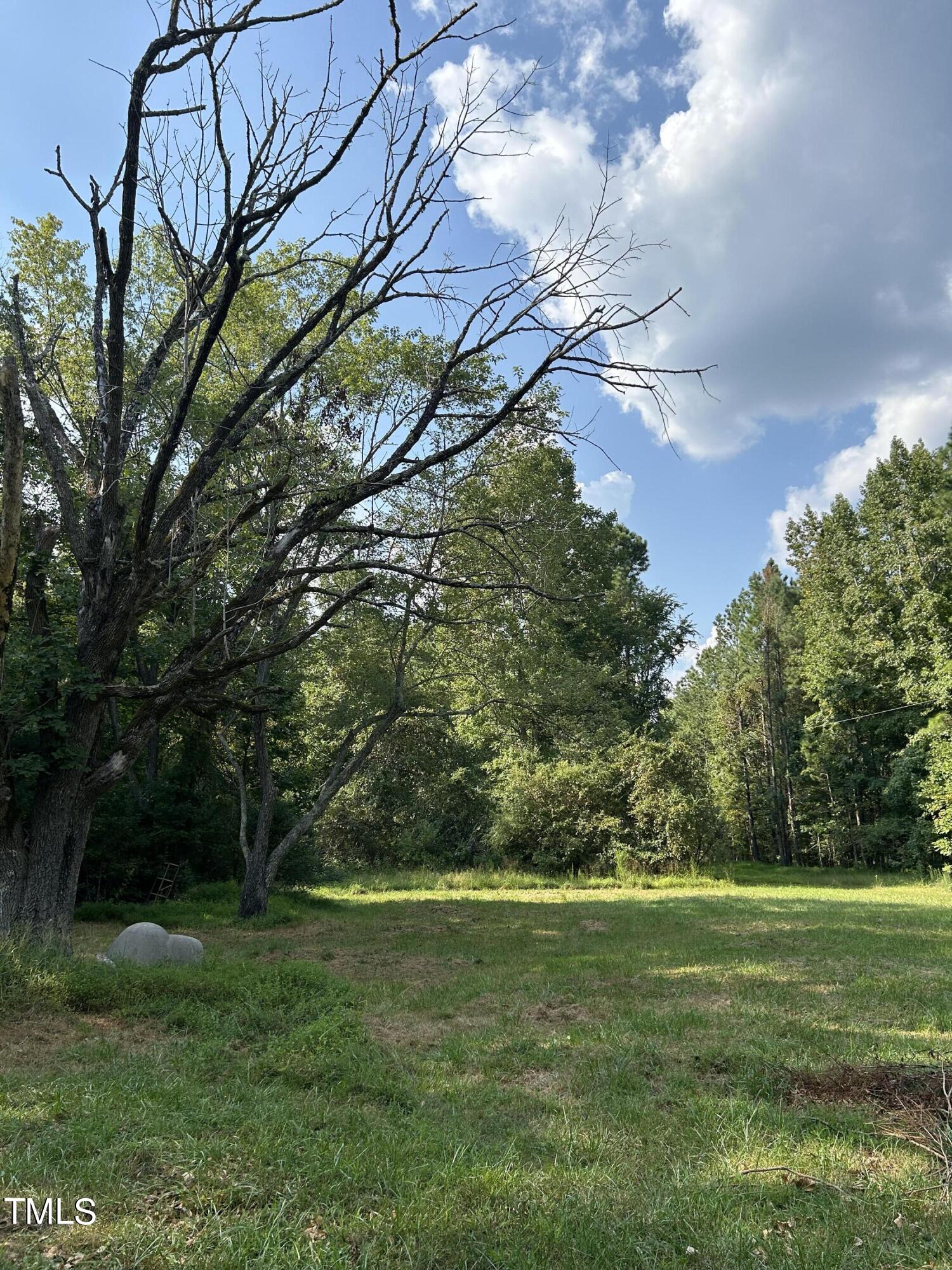 4285 Belltown Road Oxford, NC 27565 - Photo 2 of 6 a view of a field with a tree