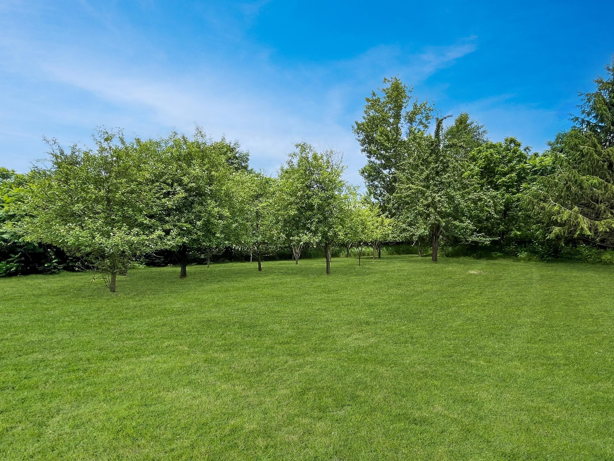 8254 110th Street Spring Valley, WI 54767 - Photo 4 of 6