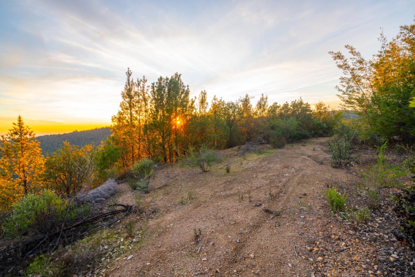 1075 Ormsby Cutoff Watsonville, CA 95076 - Photo 29 of 30 a view of a dry yard with trees in the background