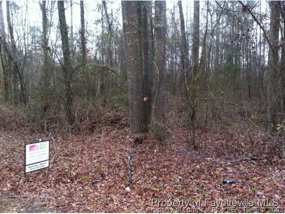 1520 Slocomb Road Linden, NC 28356 - Photo 1 of 2 Gallery Image 1