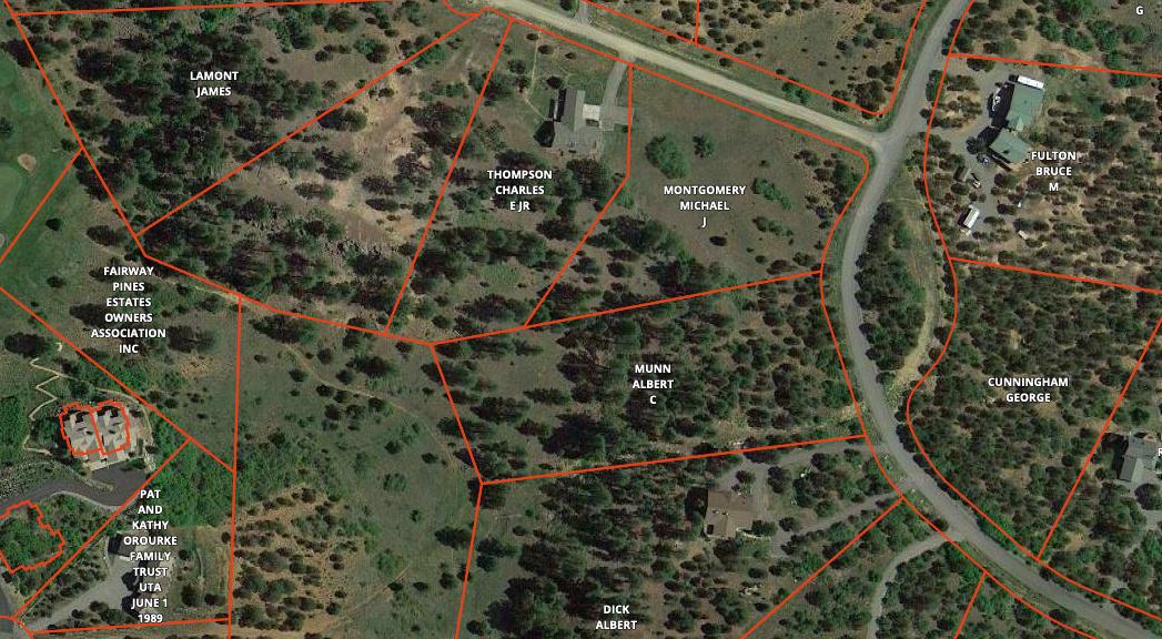 601 Juniper Road North Ridgway, CO 81432 - Photo 1 of 1 Aerial view of lot lines