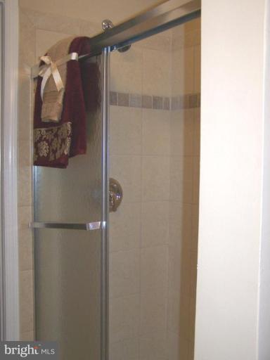 13425 Delaney Road Woodbridge, VA 22193 - Photo 8 of 19 Master bath with walk-in shower. Designer Tile!