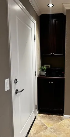 a view of a potted plant with some plants