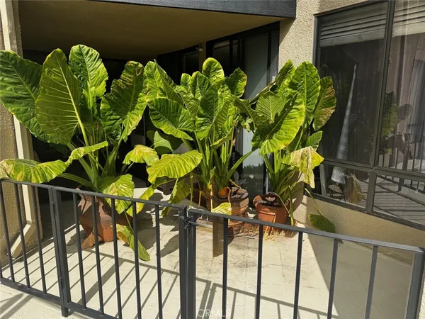 a table with wine bottles and glasses on it