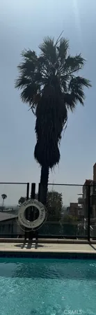 a view of yard with car parked