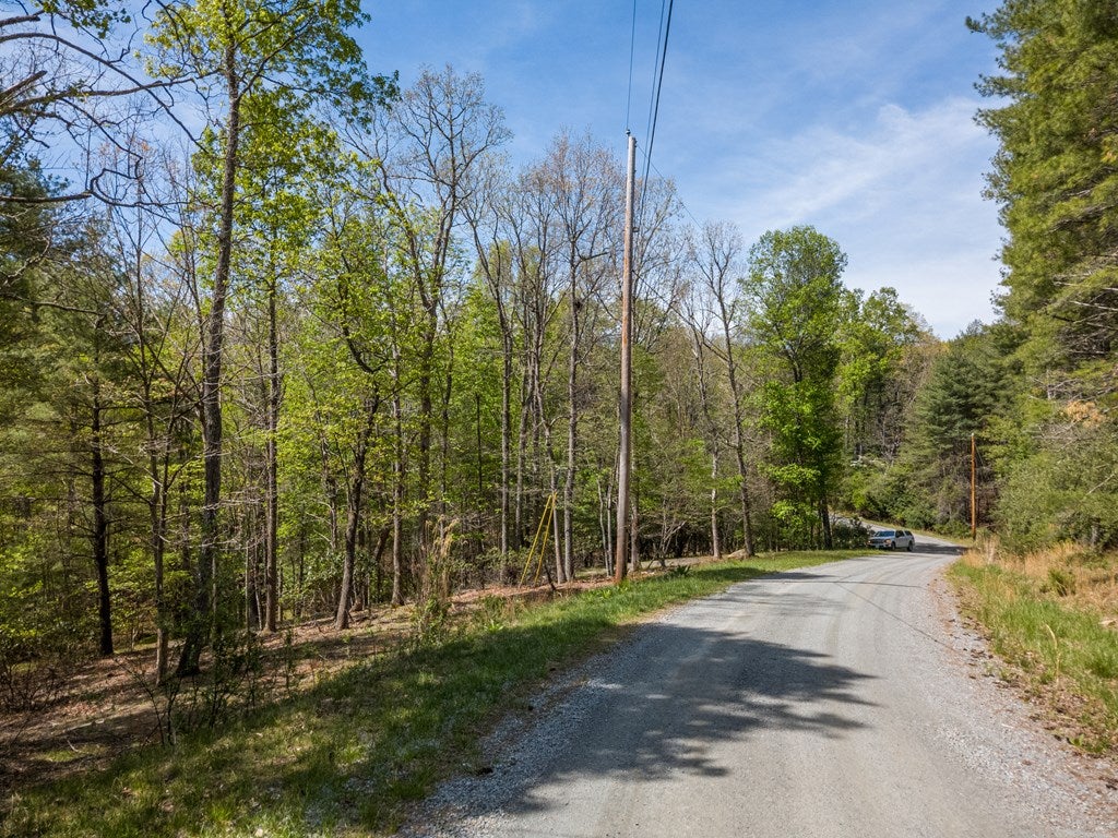 Lot 11 Ridge Line Trail, Unit 11 Independence, VA 24348 - Photo 32 of 40 Gallery Image 32