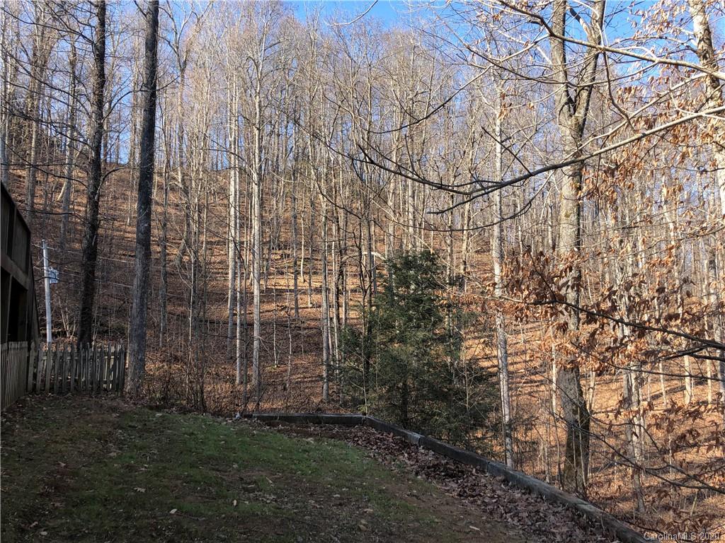 160 Chestnut Ridge Road Spruce Pine, NC 28777 - Photo 4 of 24 Gallery Image 4