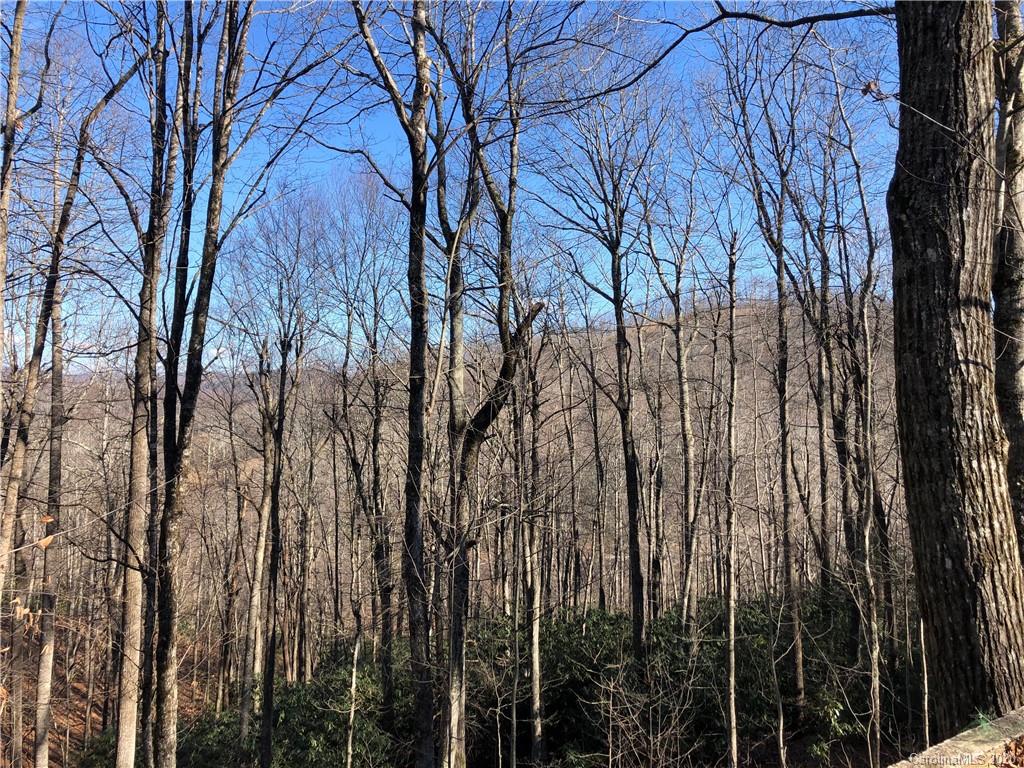 160 Chestnut Ridge Road Spruce Pine, NC 28777 - Photo 5 of 24 Gallery Image 5
