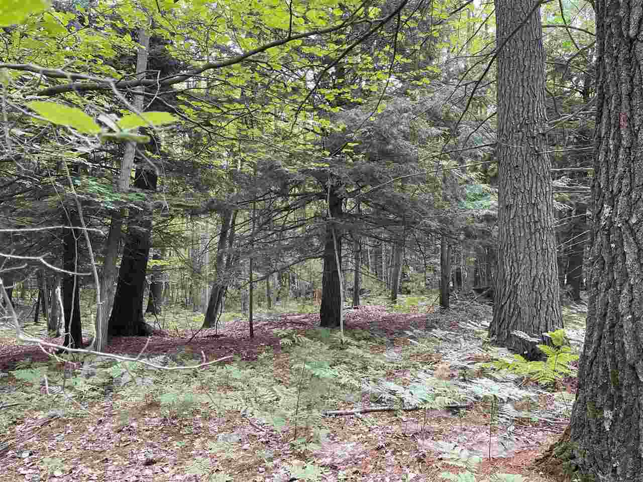 9 Mile Bridge Road Irons, MI 49644 - Photo 12 of 17