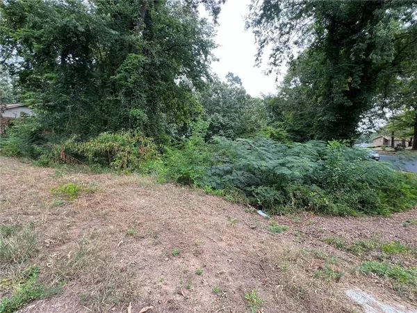 a view of a forest with trees in the background