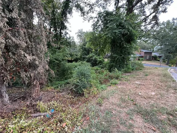 a view of a forest with trees