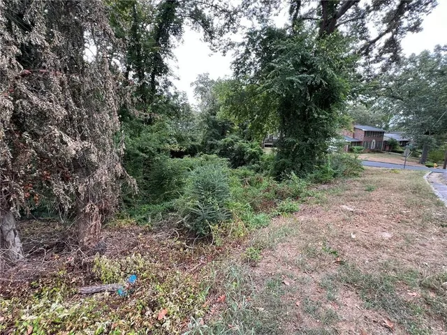 a view of a forest with trees