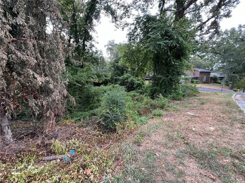0 Westlyn Drive Southwest Rome, GA 30165 - Photo 4 of 11 a view of a forest with trees