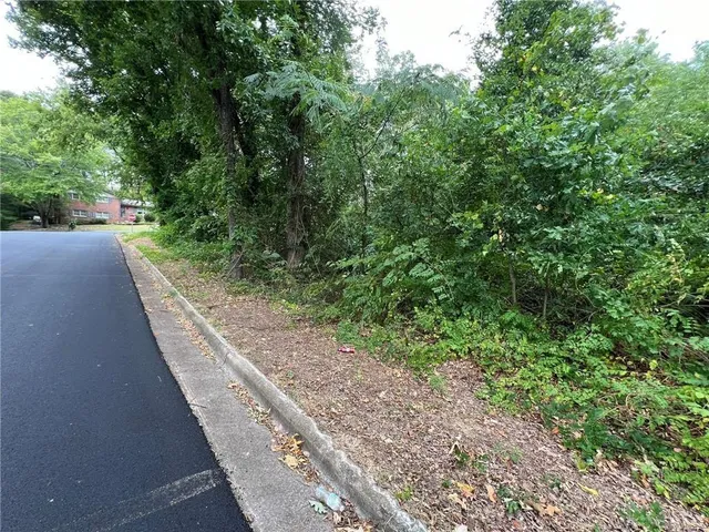 a view of a yard with plants and trees