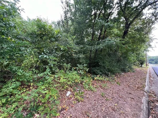 a view of a forest with a tree