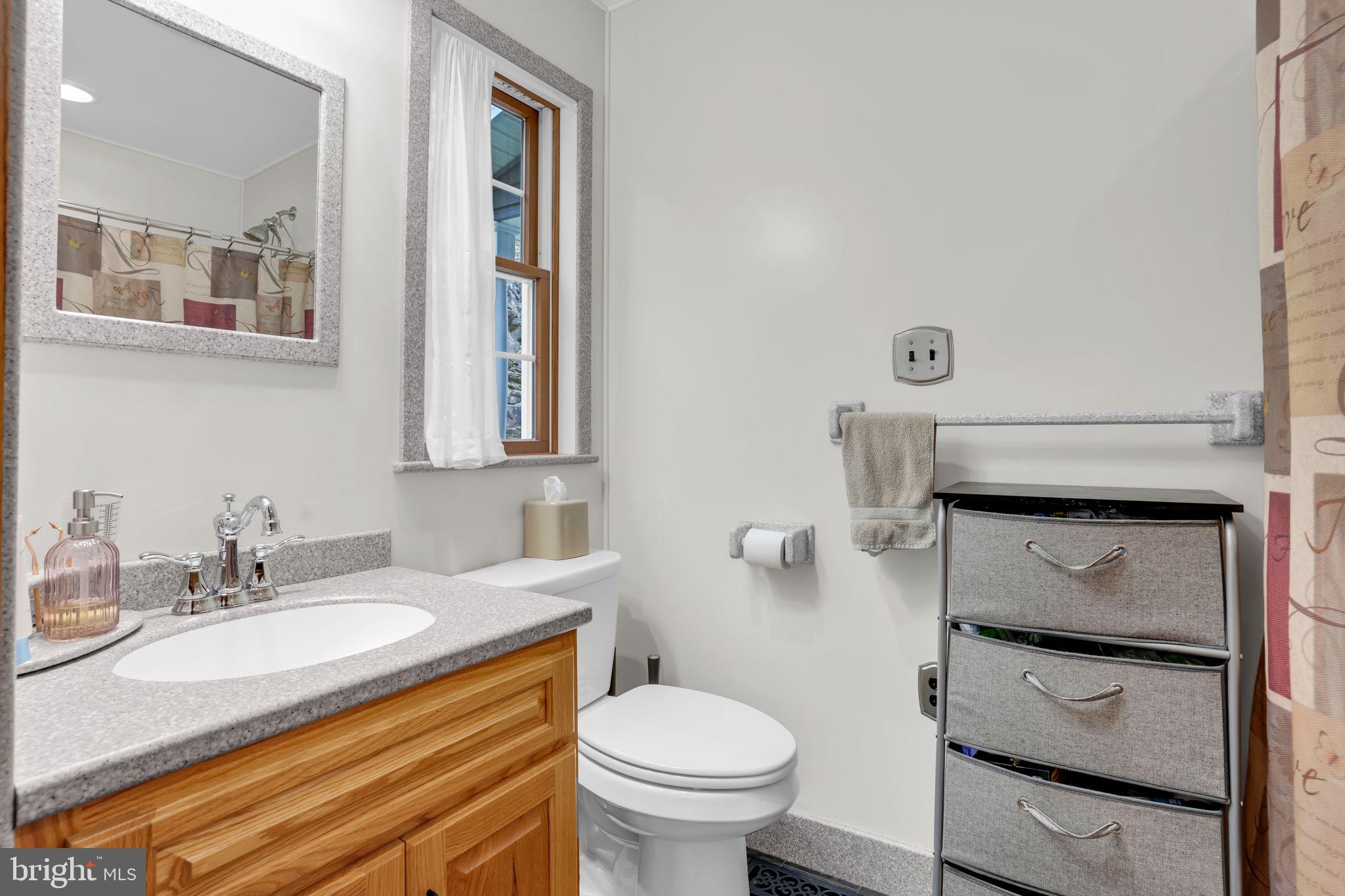 7848 Rte 104 Mount Pleasant Mills, PA 17853 - Photo 22 of 54 a bathroom with a granite countertop toilet sink and mirror