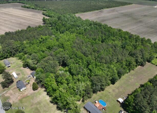416 Sandy Ridge Road Edenton, NC 27932 - Photo 2 of 14 Ariel View