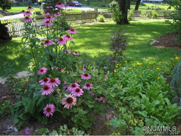 1202 Hayes Run Road Marshall, NC 28753 - Photo 21 of 24 Gallery Image 21