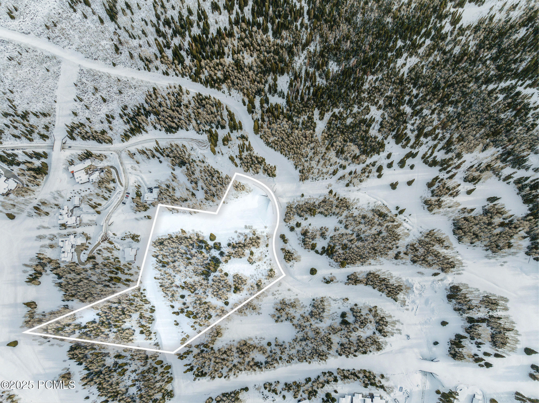 276 White Pne Cyn Road Park City, UT 84060 - Photo 7 of 13