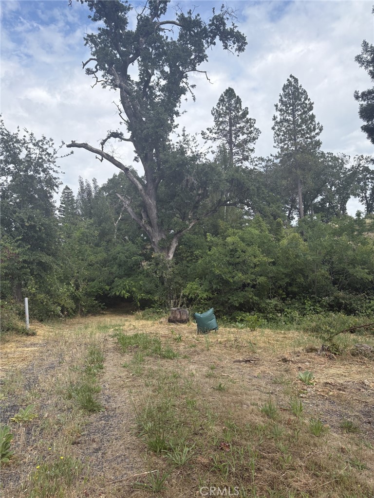 380 Oak Spring Road Paradise, CA 95969 - Photo 7 of 12 a view of a yard with wooden fence
