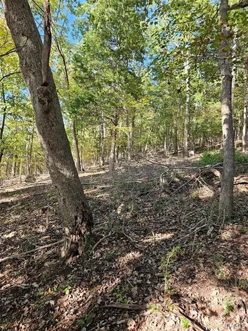 $35,000 | 138 North Lake Sherwood Drive, Lake Sherwood, MO 63357