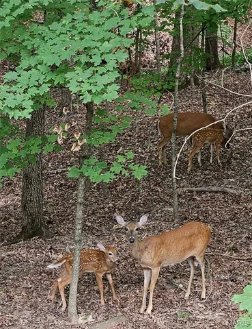 $35,000 | 138 North Lake Sherwood Drive, Lake Sherwood, MO 63357