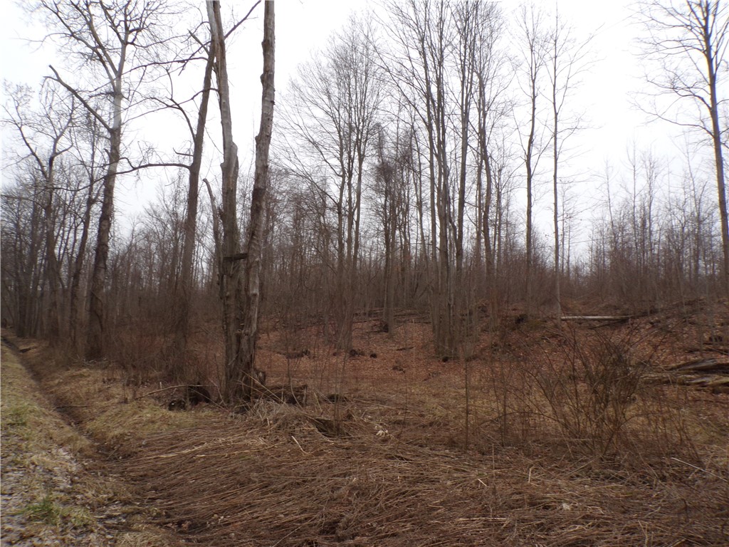7293 State Line Road West Springfield, PA 16443 - Photo 7 of 8