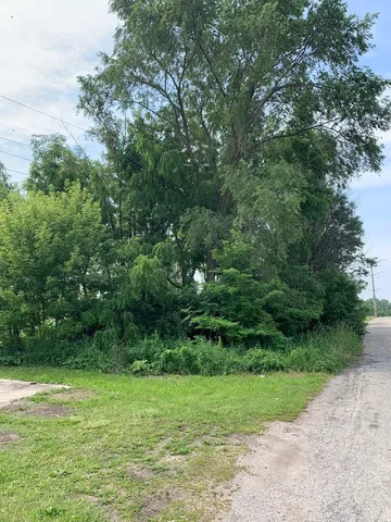 $7,000 | 1142 South Washington Avenue, Kankakee, IL 60901